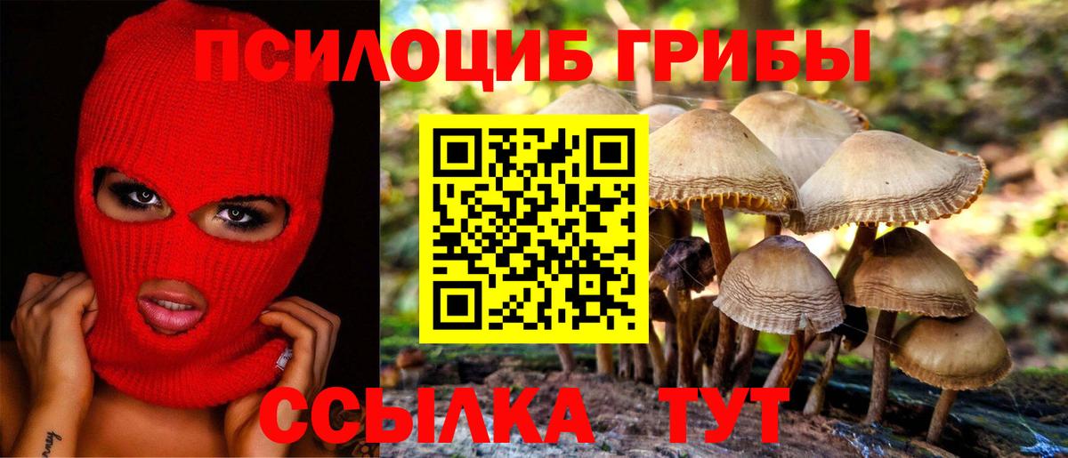 Торжок  Псилоцибиновые грибы мицелий  купить  цена  Вход с VPN 